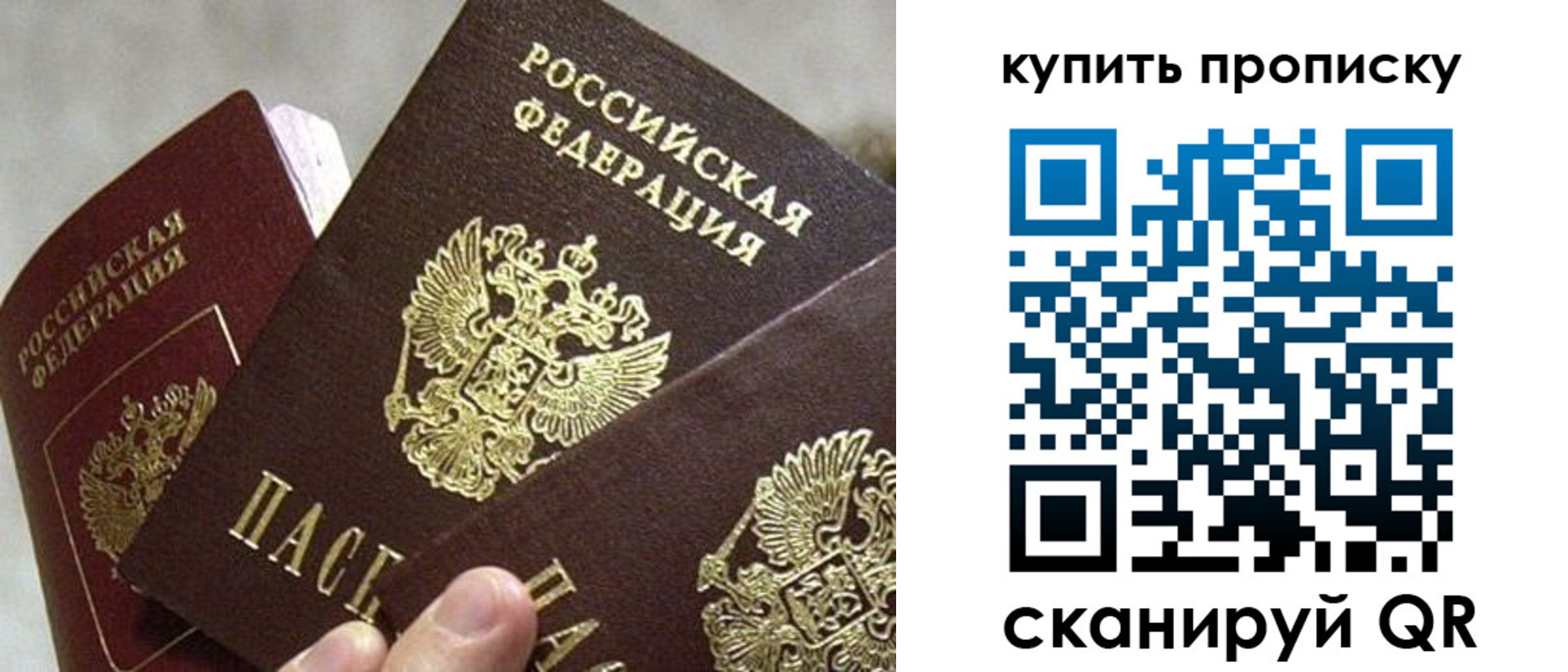 прописка для школы в Новгородской области